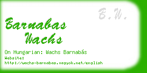 barnabas wachs business card
